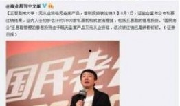 凤姐爆料王思聪视频播放,网络热议引发伦理争议