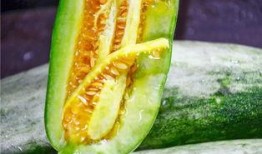 热门网红吃瓜,娱乐圈幕后真相曝光