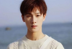 李明轩爆料邪魅视频下载,揭秘背后真相与争议