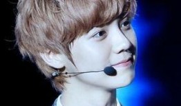 鹿晗爆料韩国人视频播放,韩国人视频播放背后的惊人真相