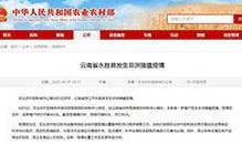 云南热点爆料新闻视频,揭秘神秘事件背后的真相