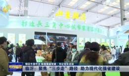 临沂都市爆料新闻最新,揭秘某神秘项目背后真相