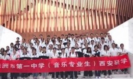 新闻爆料株洲事件,揭秘背后真相与影响