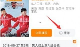 小伙节目爆料视频大全下载,揭秘幕后真相，带你走进娱乐风云