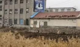 爆料龙口违建事件最新情况,官方调查结果及后续处理措施揭晓