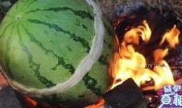 吃瓜烧烤视频在线观看免费,在线观看，美味瞬间尽收眼底