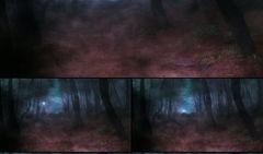 暗黑爆料视频素材,视频素材背后的惊人真相