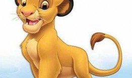 辛巴鹿爆料视频大全下载,揭秘幕后真相，带你走进娱乐圈风云