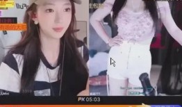 国内女主播被爆料视频,揭秘网络直播背后的真相