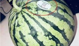 热门网红吃瓜,娱乐圈幕后真相曝光