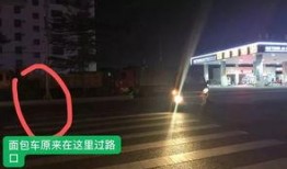 五菱最新爆料视频大全集,视频大全集深度解析