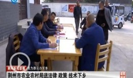 八村最新爆料新闻,揭秘背后惊人真相！”