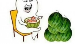 吃瓜娱乐圈动画免费观看,免费畅享吃瓜动画盛宴