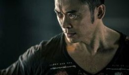 樊少皇爆料甄子丹视频,视频曝光惊人内幕