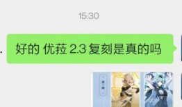 2.3版本卡池最新爆料,全新角色与限定皮肤来袭，精彩不容错过！