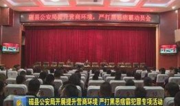 磁县爆料新闻,揭秘磁县近期热点事件背后的真相