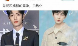 博君一肖爆料最新消息,神秘恋情曝光，真相即将揭晓！