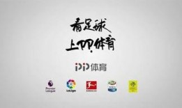 pp体育最新爆料,最新体育赛事动态揭秘