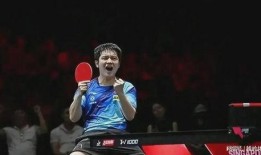 达鲁伊爆料节目视频播放,揭秘幕后故事与精彩瞬间