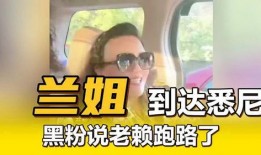 兰姐黑粉爆料视频播放网站,真相与争议并存