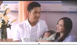 铲屎官与娱乐爆料君,揭秘宠物界与娱乐圈的跨界风云