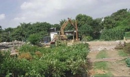 澄海违建最新爆料,揭秘背后惊人真相