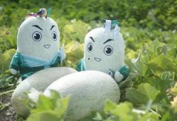 网红驯鹿吃瓜,揭秘动物界的娱乐热点