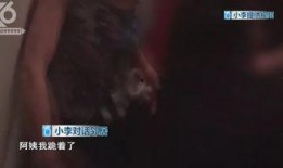 小李邻居爆料视频在线观看,小李真实生活大揭秘