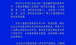 亳州爆料视频曝光最新,最新事件引发社会关注