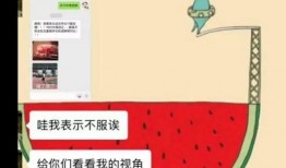 吃瓜被误抓小说免费阅读,一场意外引发的悬疑之旅