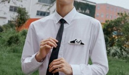 狗仔直播间爆料龚俊视频