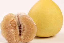 爆料鲜甜柚子怎么做视频,轻松学会柚子新吃法