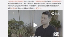 顾成前妻爆料视频在线观看,揭秘婚姻背后的惊人真相
