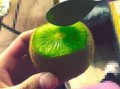 抖音热门吃瓜网红有哪些,揭秘网络红人的瓜田传奇