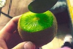 抖音热门吃瓜网红有哪些,揭秘网络红人的瓜田传奇