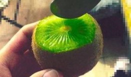 抖音热门吃瓜网红有哪些,揭秘网络红人的瓜田传奇