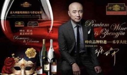 徐峥爆料张庭了吗视频播放,视频播放背后的惊人真相
