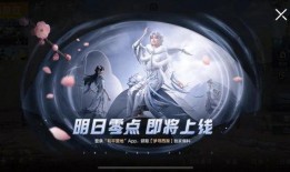 夜凯最新爆料视频大全集,揭秘娱乐圈幕后真相